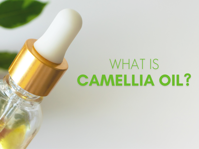 What is camellia oil